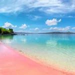 Pantai Pink: Keindahan Alami yang Menakjubkan